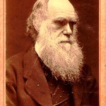 darwin